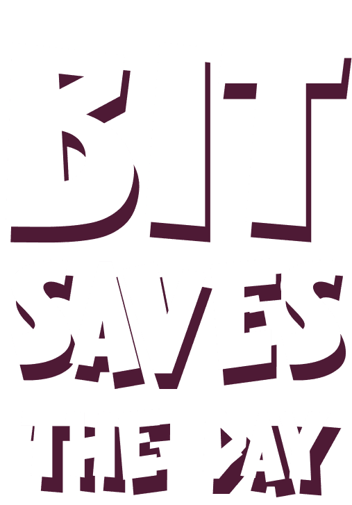 Bit's Big Day